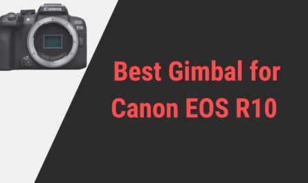 Best Gimbal for Canon EOS R10