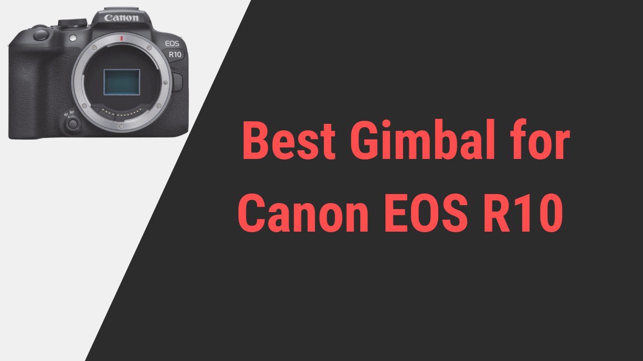 Best Gimbal for Canon EOS R10