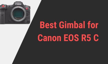 Best Gimbal for Canon EOS R5 C