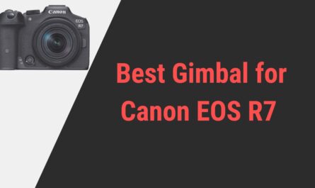 Best Gimbal for Canon EOS R7