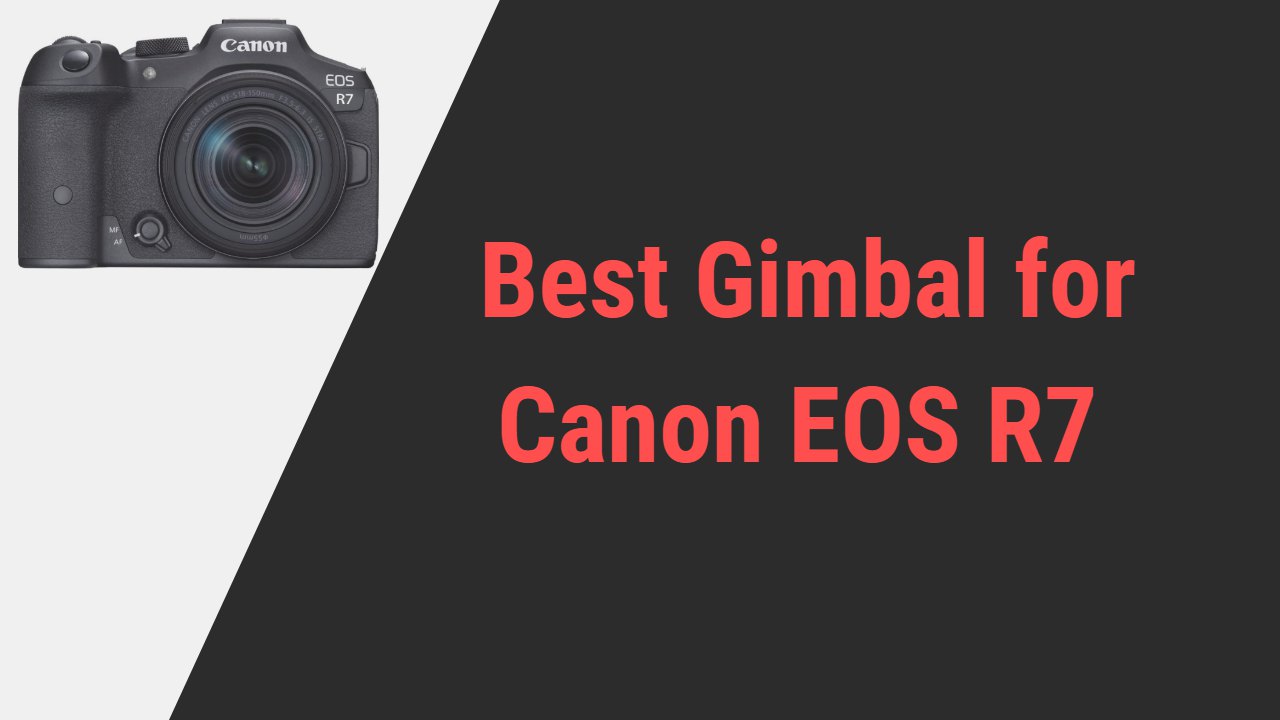 Best Gimbal for Canon EOS R7