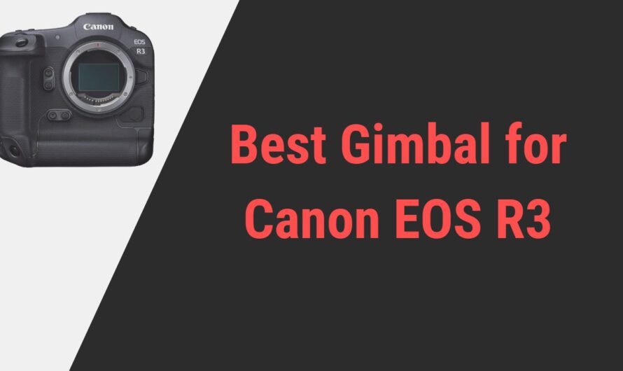 Best Gimbal for Canon R3 Camera | Reviews of 2024
