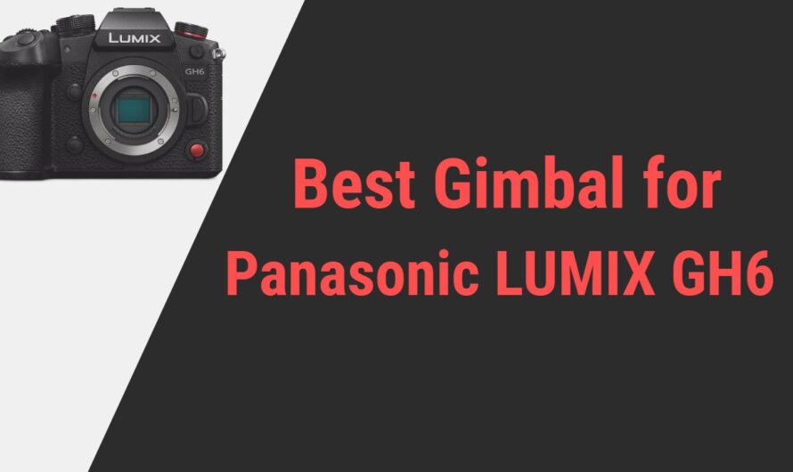 Best Gimbal for Panasonic LUMIX GH6 Camera