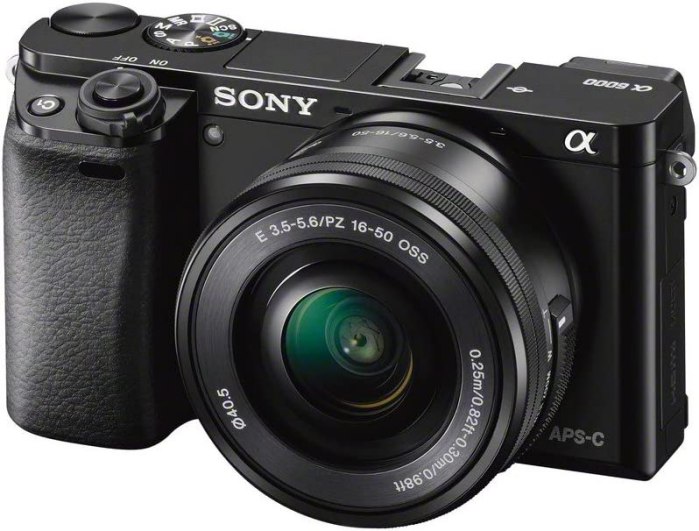 Sony Alpha A6000 with Lens