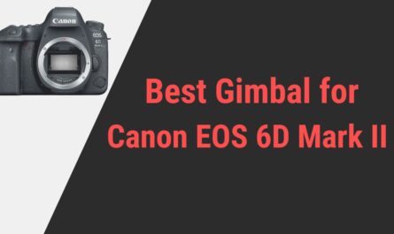 Best Gimbal for Canon EOS 6D Mark II