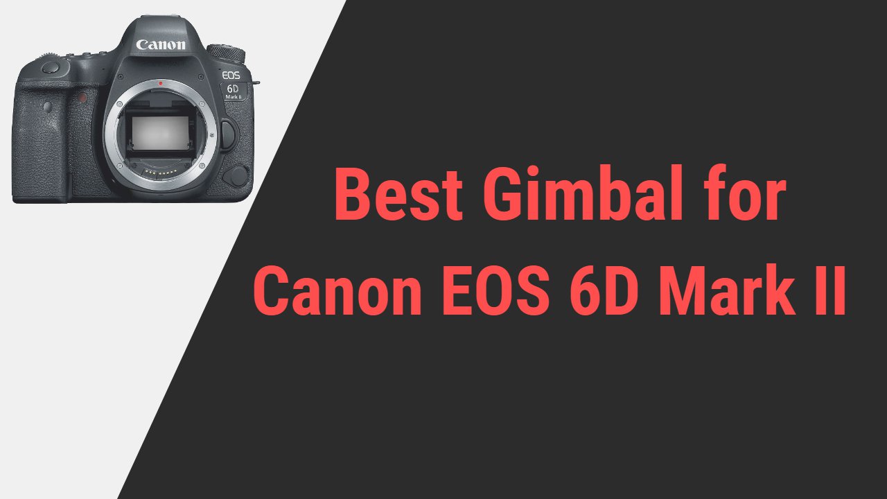 Best Gimbal for Canon EOS 6D Mark II