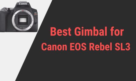 Best Gimbal for Canon EOS Rebel SL3