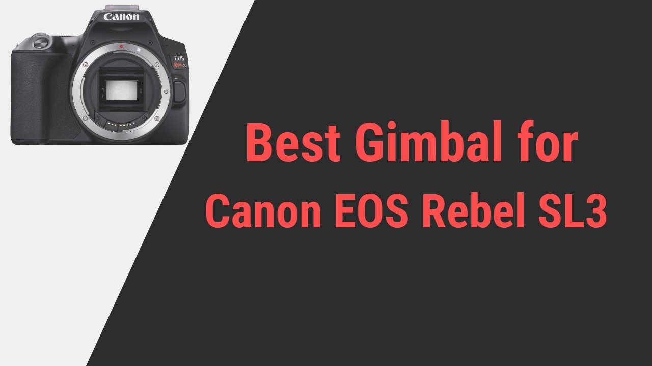 Best Gimbal for Canon EOS Rebel SL3