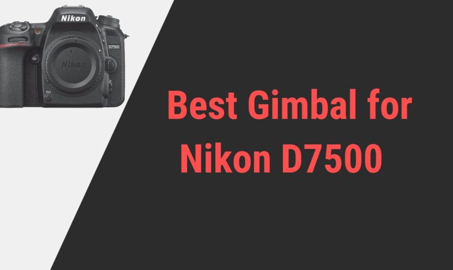 Best Gimbal for Nikon D7500 Camera
