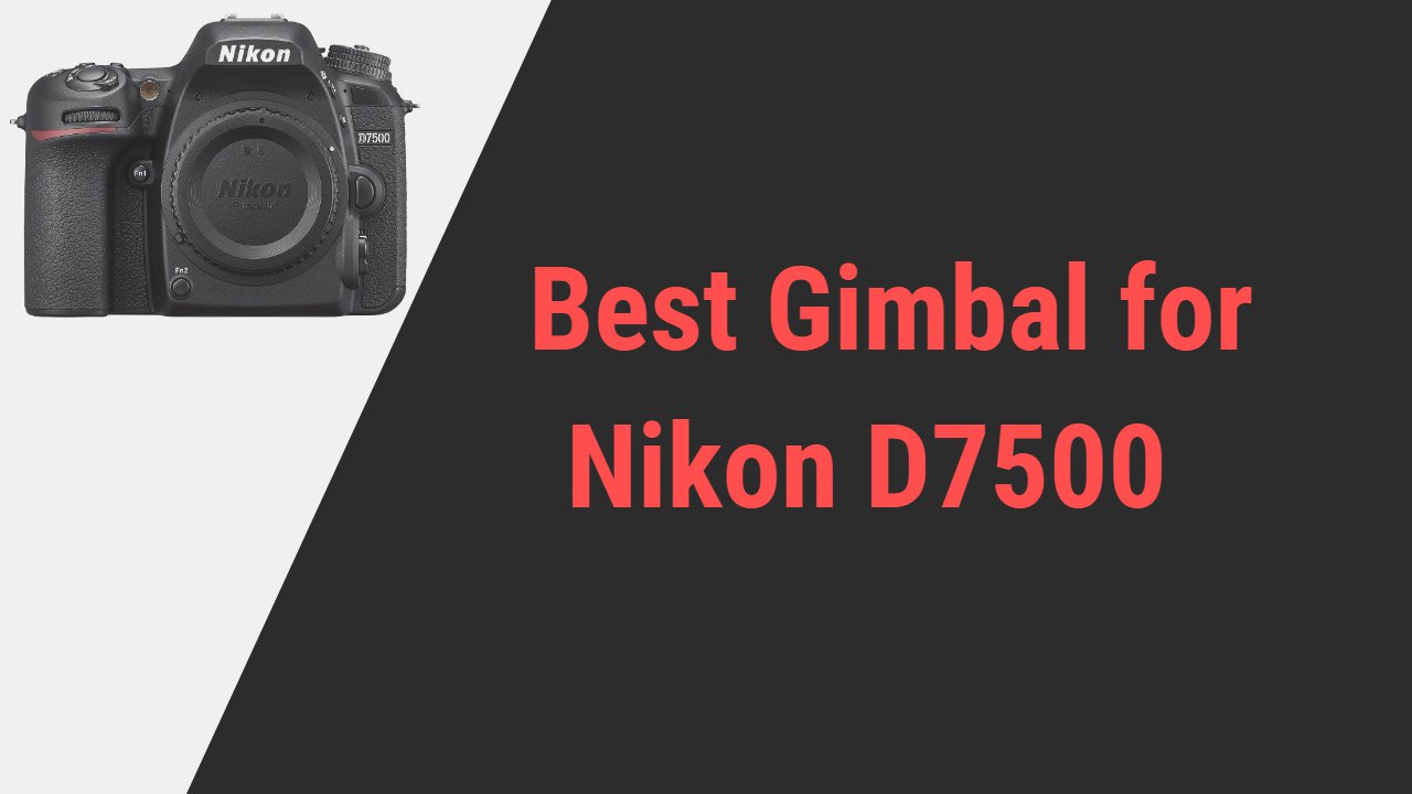 Best Gimbal for Nikon D7500