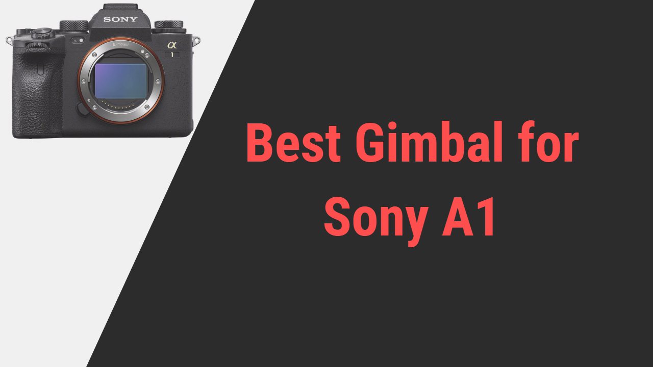 Best Gimbal for Sony Alpha 1