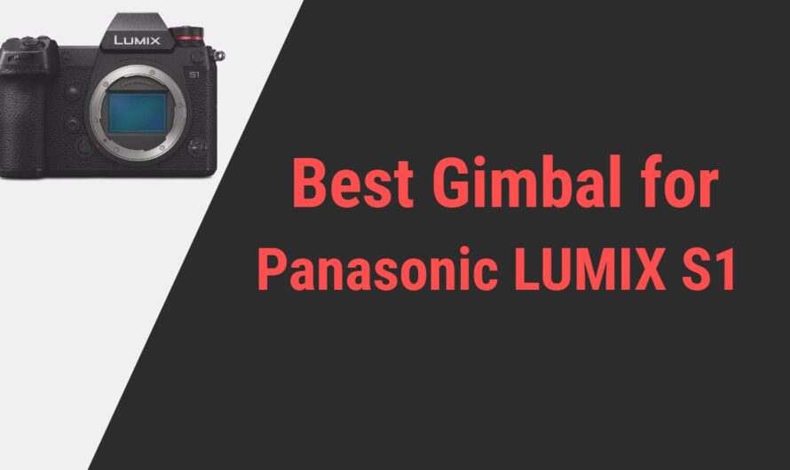 Best Gimbal for Panasonic LUMIX S1 Camera with Expert Reviews
