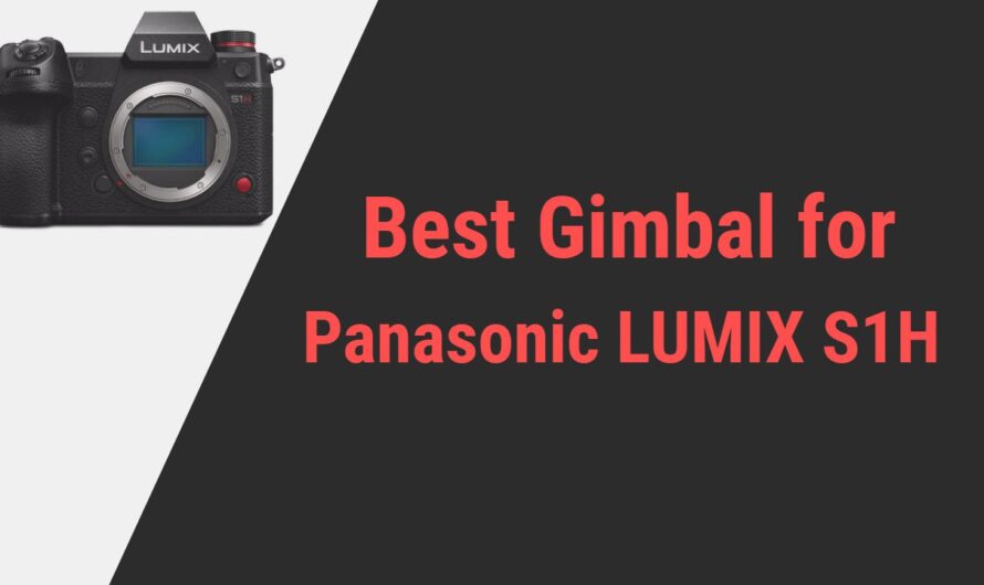 Best Gimbal for Panasonic Lumix S1H Camera | Make your videos stable