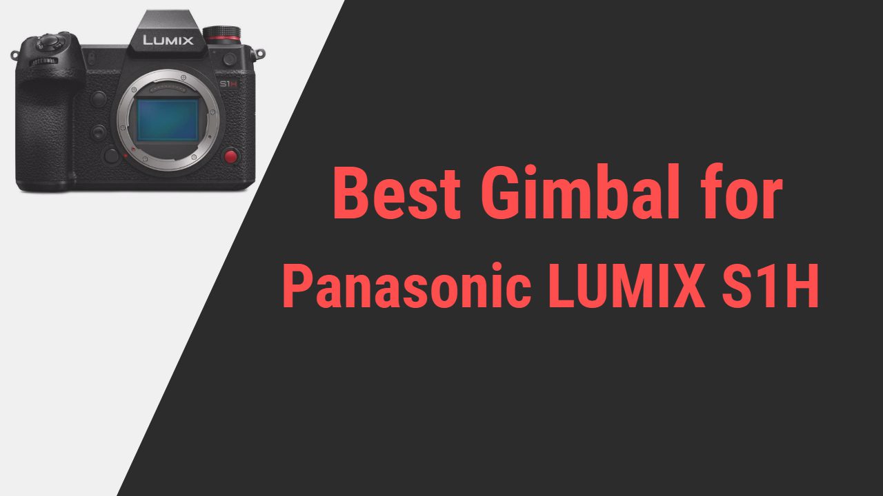 Best Gimbal for Panasonic LUMIX S1H