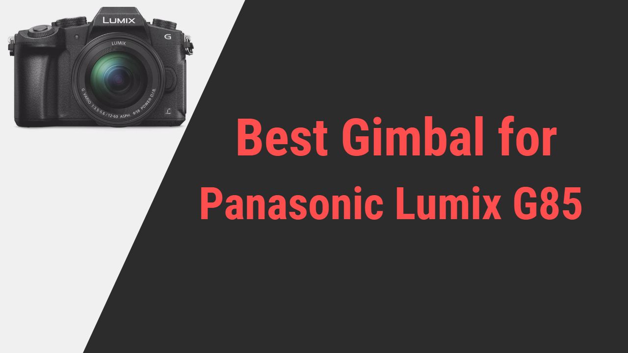 Best Gimbal for Panasonic Lumix G85