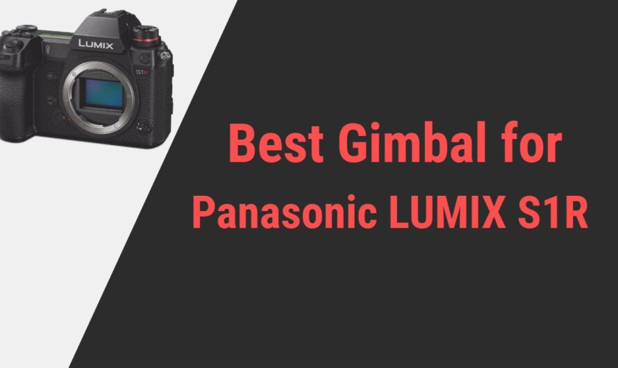 Best Gimbal for Panasonic LUMIX S1R