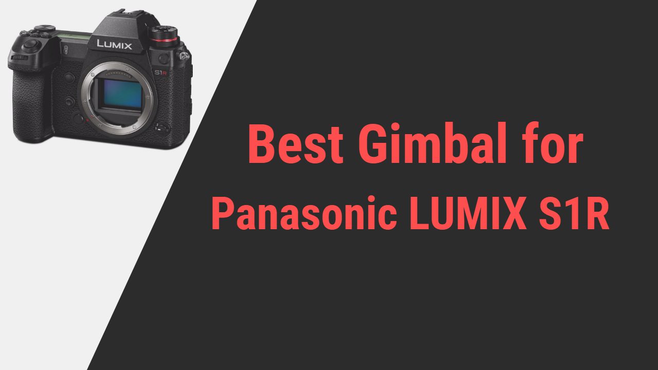 Best Panasonic LUMIX S1R