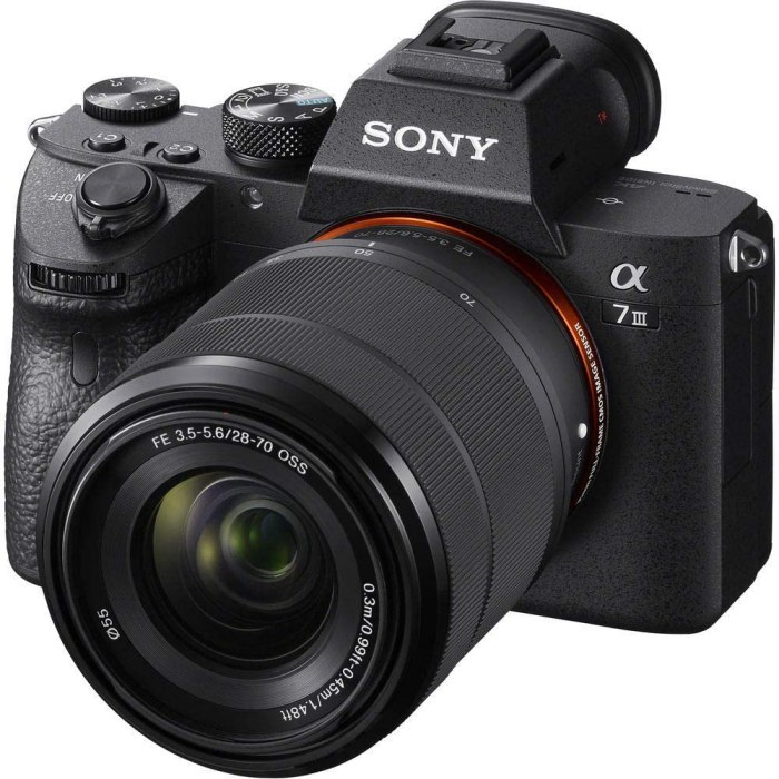 Sony A7III Camera