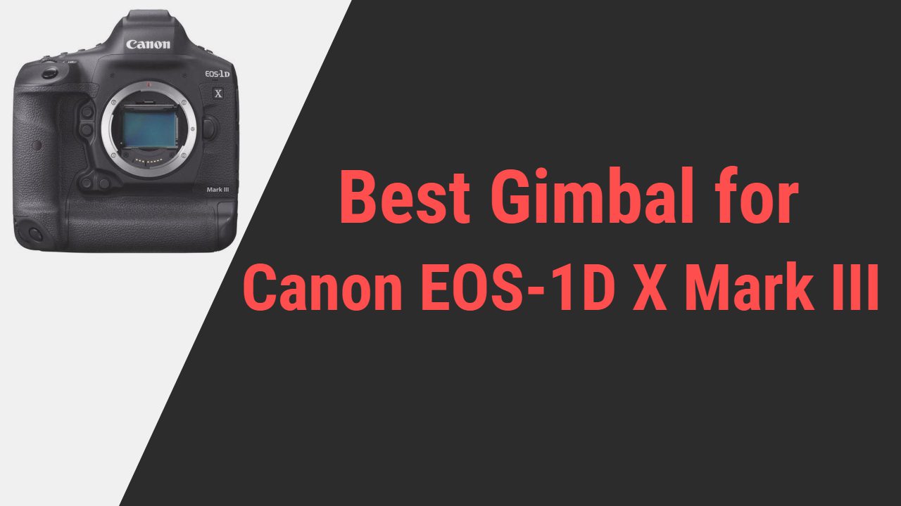 Best Gimbal for Canon EOS-1D X Mark III