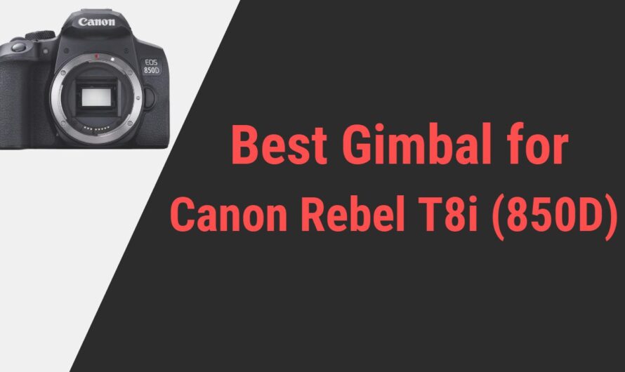 Best Gimbal for Canon EOS Rebel T8i (850D) Camera