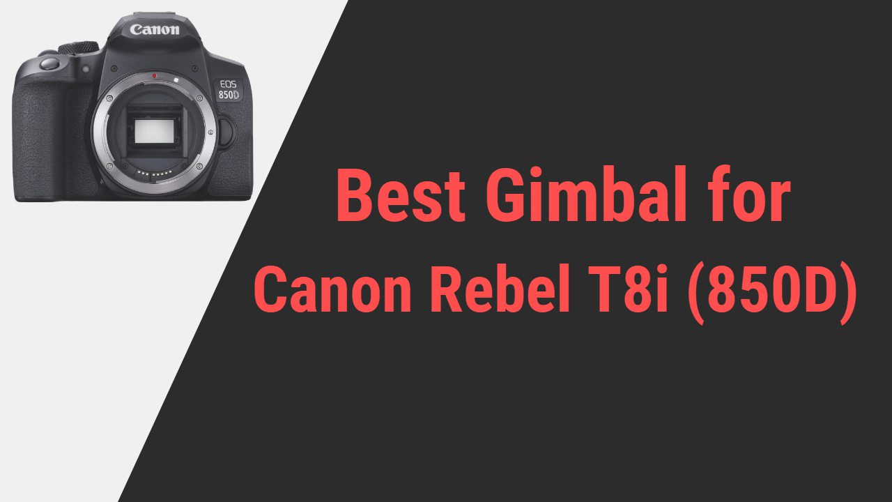 Best Gimbal for Canon Rebel T8i