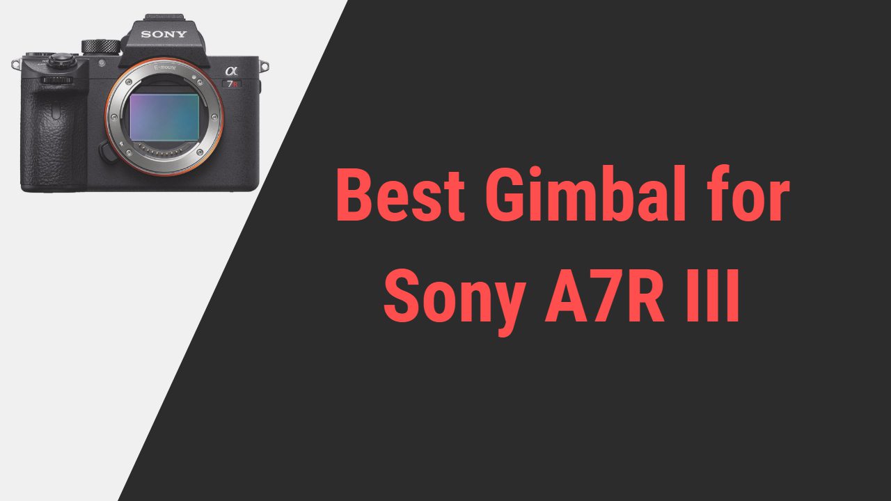 Best Gimbal for Sony A7R III