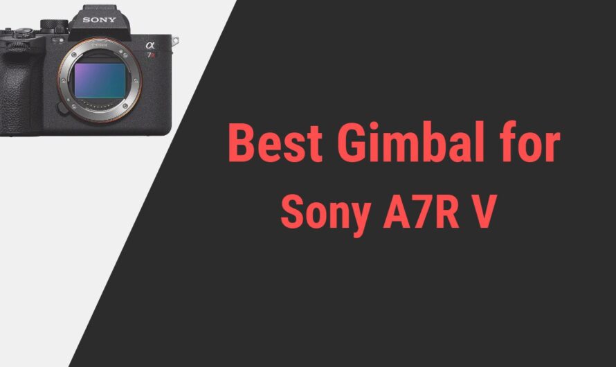 Best Gimbal for Sony A7R V Camera in 2024