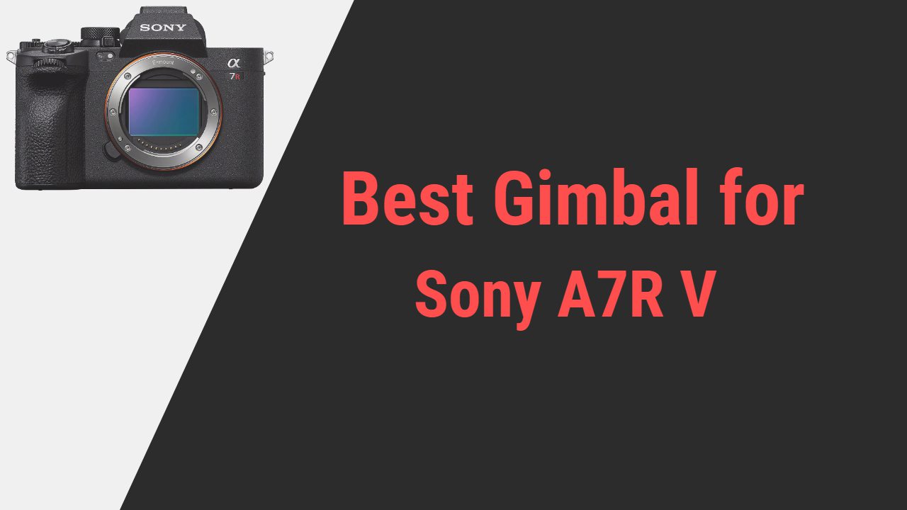 Best Gimbal for Sony A7R V