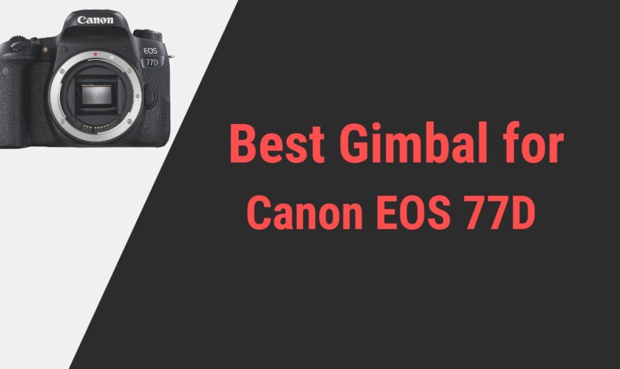 Best Gimbal for Canon EOS 77D