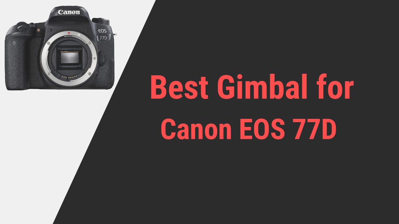 Best Gimbal for Canon EOS 77D