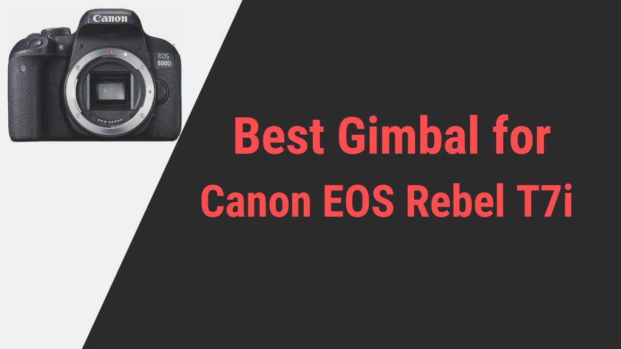 Best Gimbal for Canon EOS Rebel T7i