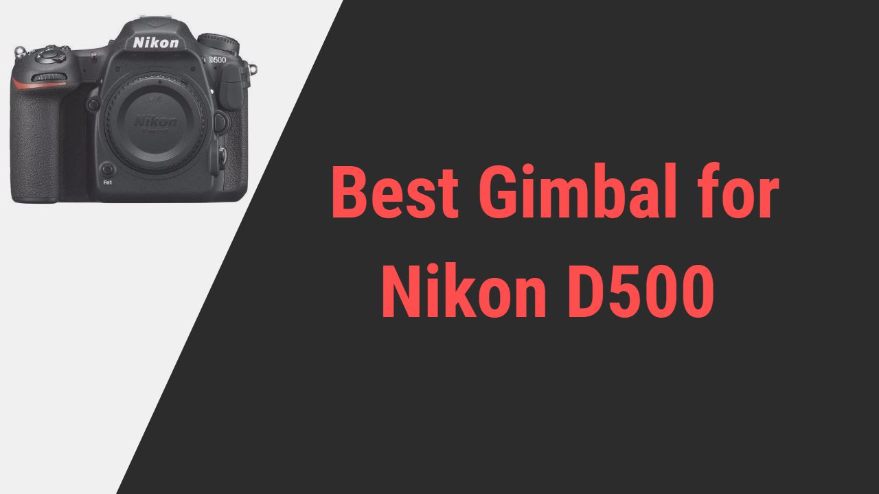 Best Gimbal for Nikon D500