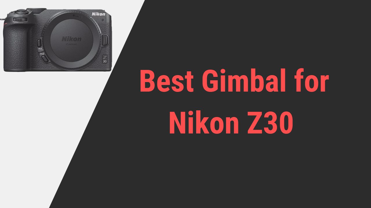 Best Gimbal for Nikon Z30