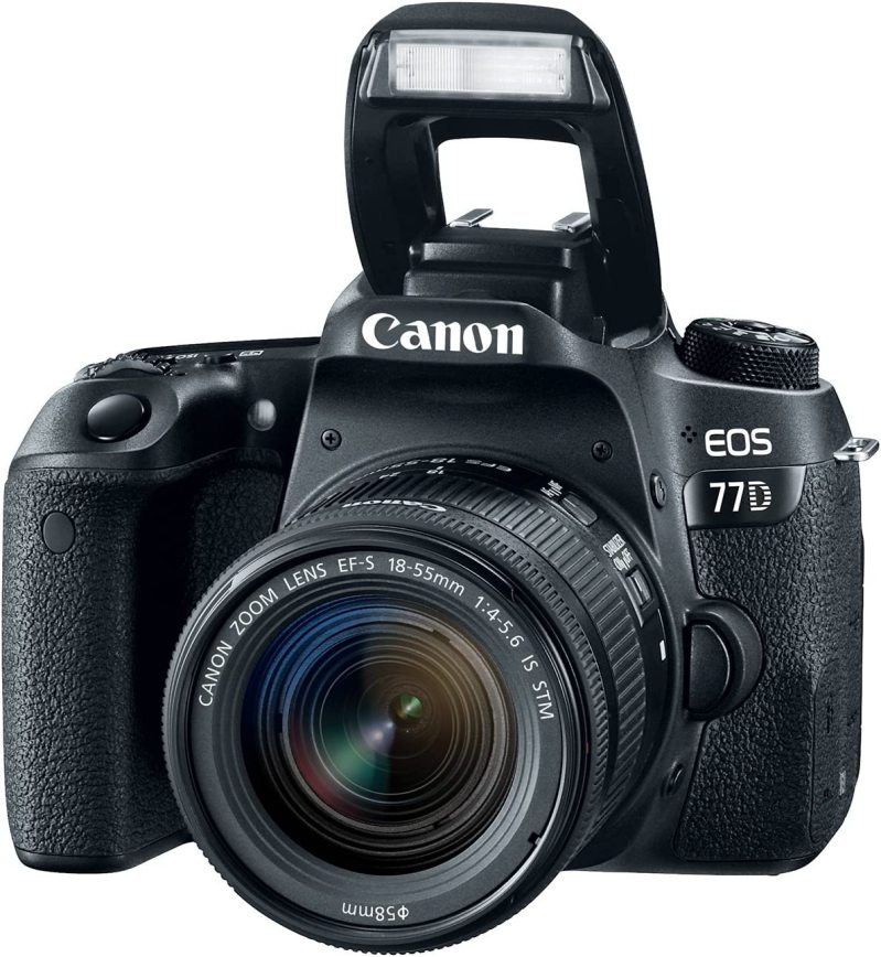 Canon EOS 77D with Flash and Lens