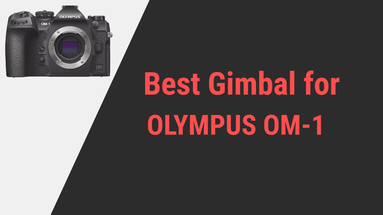 Best Gimbal for OLYMPUS OM-1