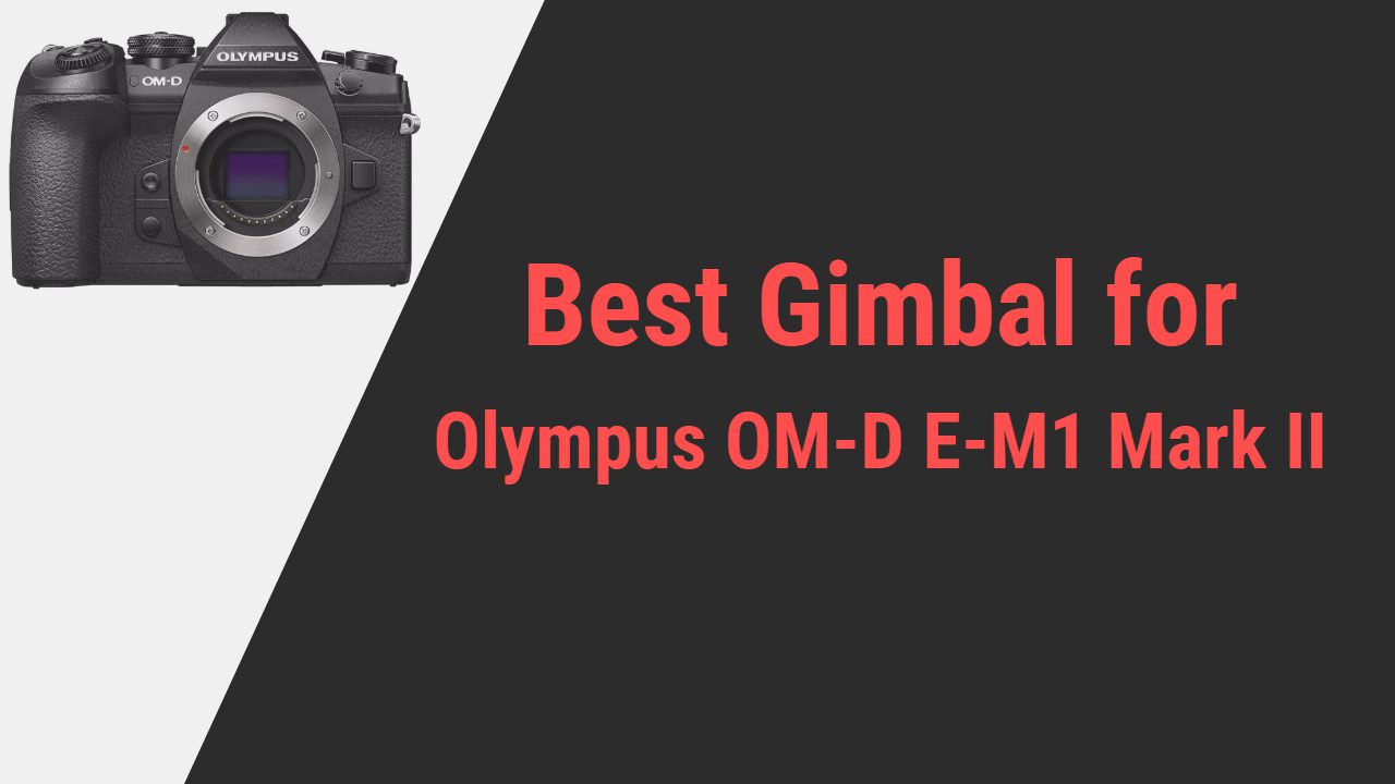 Best Gimbal for Olympus OM-D E-M1 Mark II