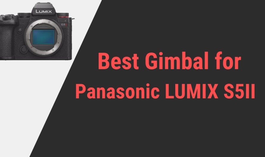 Best Gimbal for Panasonic Lumix S5 Mark II Camera