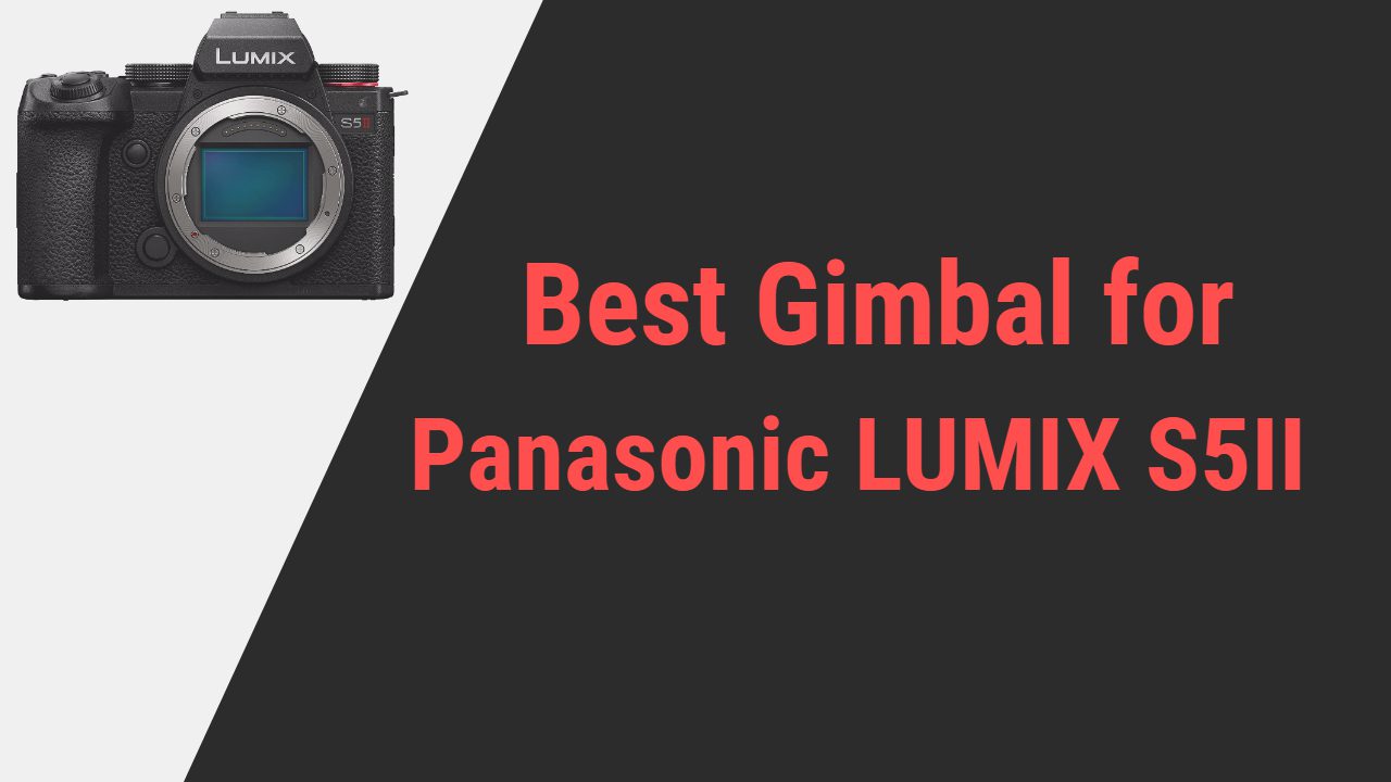 Best Gimbal for Panasonic LUMIX S5II