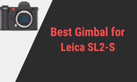 Best Gimbal for Leica SL2-S