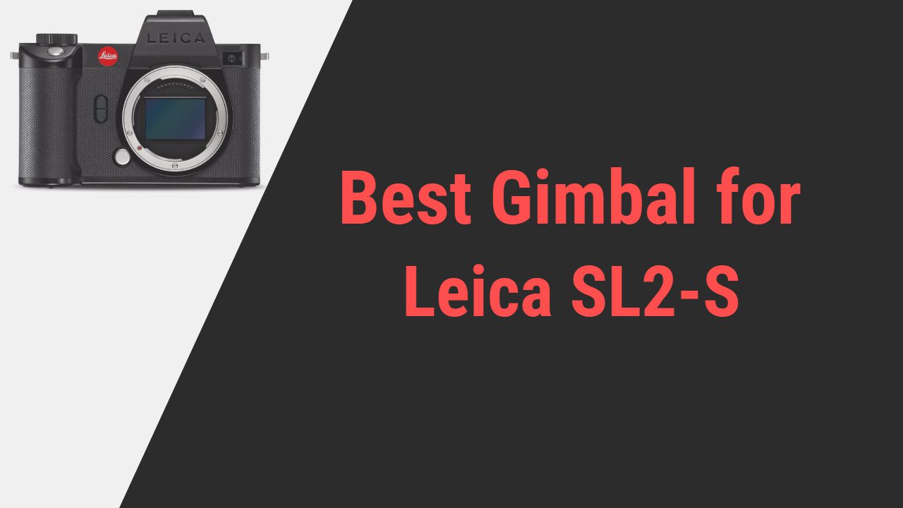 Best Gimbal for Leica SL2-S