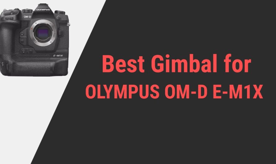 Best Gimbal for Olympus OM-D E-M1X