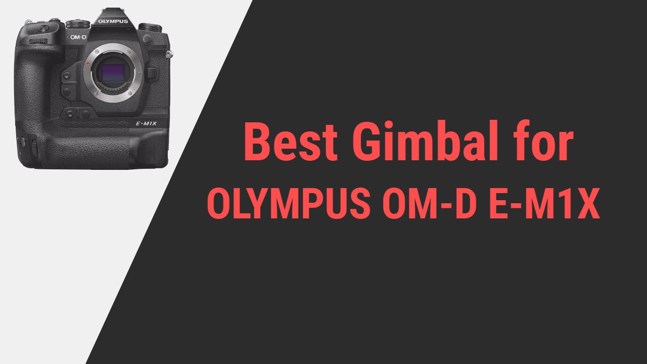 Best Gimbal for OLYMPUS OM-D E-M1X
