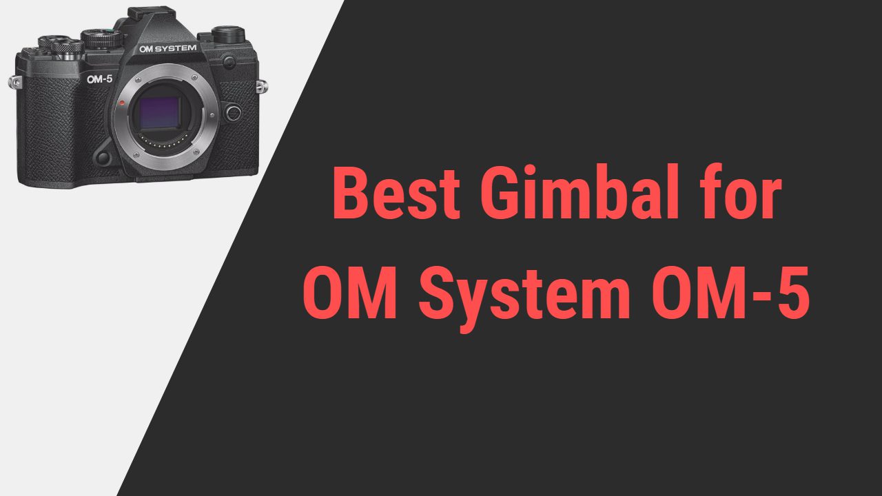 Best Gimbal for OM System OM-5