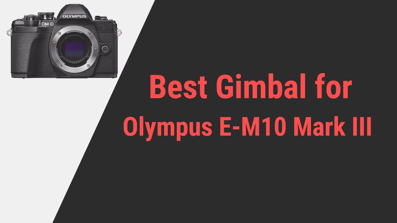 Best Gimbal for Olympus E-M10 Mark III