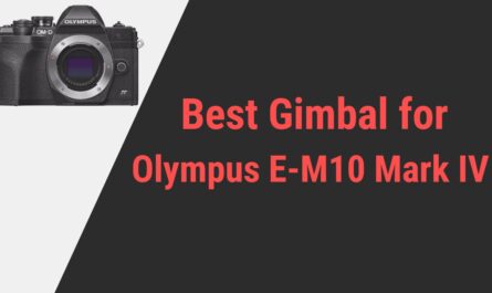 Best Gimbal for Olympus E-M10 Mark IV