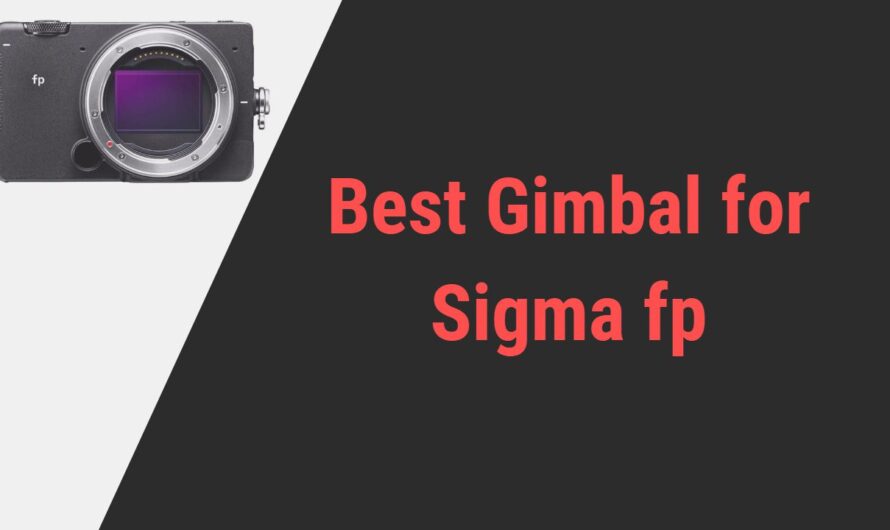 Best Gimbal for Sigma fp Camera