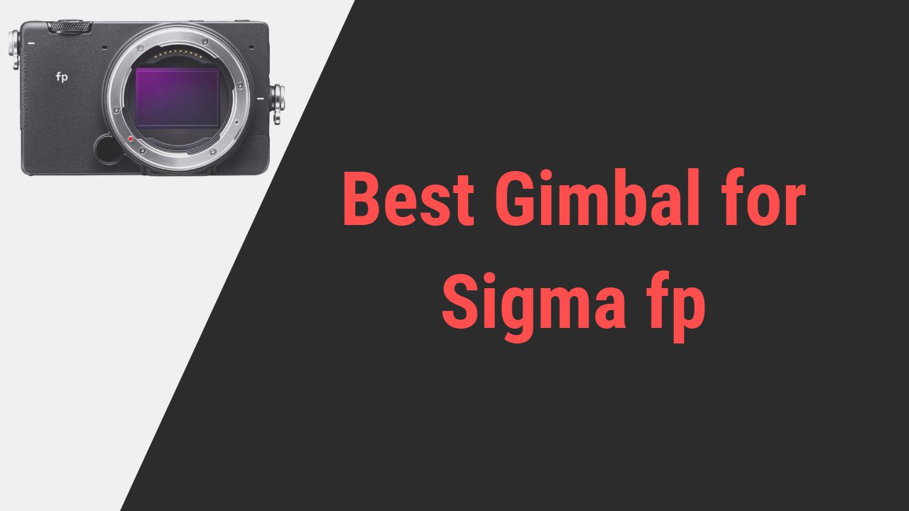 Best Gimbal for Sigma fp