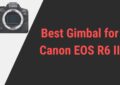 Best Gimbal for Canon EOS R6 II