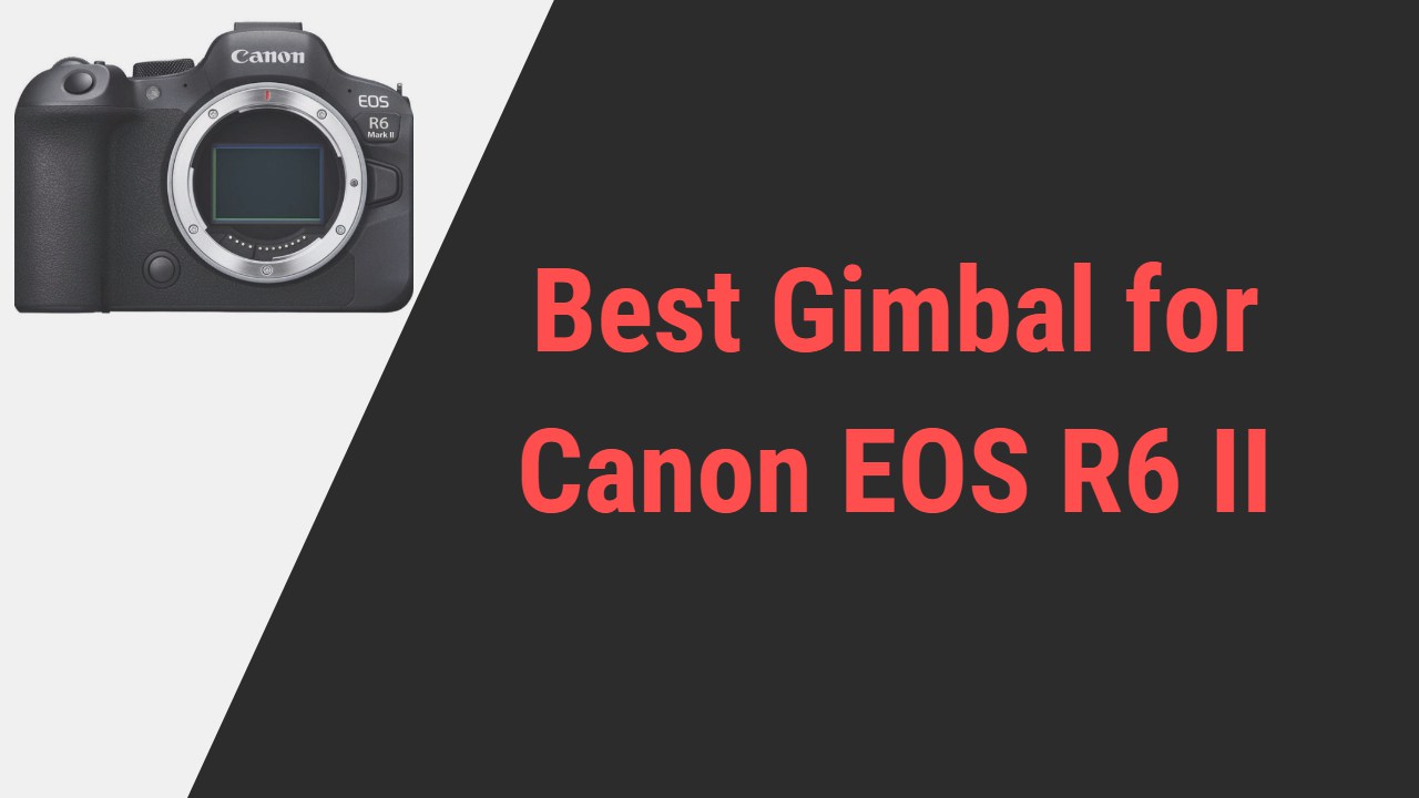 Best Gimbal for Canon EOS R6 II