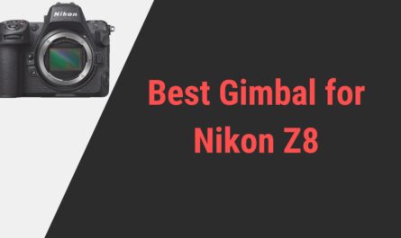 Best Gimbal for Nikon Z8